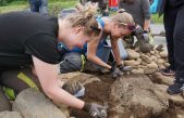 Descubrimiento de la época romana en Noruega entusiasma a los arqueólogos