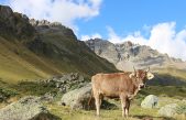 Un estudio arqueológico muestra cómo los seres humanos han transformado la Tierra en los últimos diez mil años