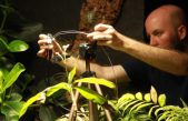 El primer selfie de una planta: Una cámara que utiliza bioenergía