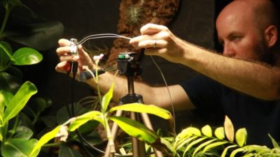 El primer selfie de una planta: Una cámara que utiliza bioenergía