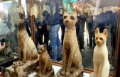 Egipto descubre nuevas momias de leones, escarabajos y otros animales