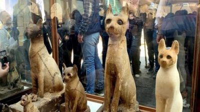 Egipto descubre nuevas momias de leones, escarabajos y otros animales