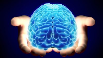 Mitos sobre el cerebro humano