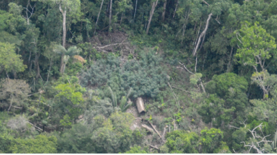 Imágenes inéditas de una comunidad de indígenas no contactados en la Amazonia peruana