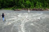 Descubren en Nueva York el bosque más antiguo, de hace 386 millones de años