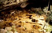 El origen del ser humano está en al menos cuatro linajes ancestrales