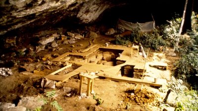 El origen del ser humano está en al menos cuatro linajes ancestrales