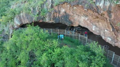 El ser humano ya cocinaba alimentos provenientes del subsuelo hace 170.000 años