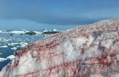 La nieve de la Antártida se vuelve de color ‘rojo sangre’