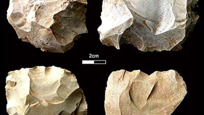 Los humanos sobrevivieron a la inmensa erupción en Toba de hace 74.000 años