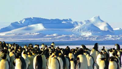 El coronavirus persiste 17 días, pero no se sabe cuándo deja de infectar