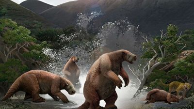 Paleontólogos de Argentina y Ecuador presentaron un “Yeti sudamericano” de más de 10 mil años de antigüedad