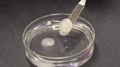 Un nuevo biomaterial venido de… cáscaras de huevo