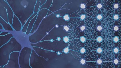 Neuronas humanas permitirán pensar a la Inteligencia Artificial