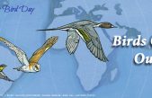 Día Mundial de las Aves Migratorias