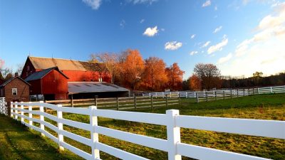 Vivir en un entorno rural favorece el bienestar mental de las personas mayores