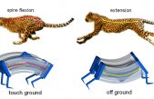 Se logra triplicar la velocidad de un robot gracias a la biomecánica del guepardo