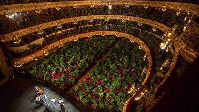 Ópera de Barcelona reabre con un público de plantas