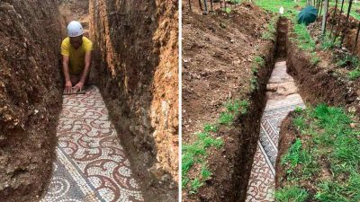 Preciosos mosaicos del siglo III descubiertos en un viñedo en Verona, Italia