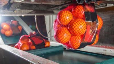 La inteligente razón por la que las naranjas se venden en bolsas de malla rojas