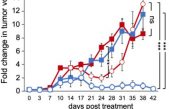 Descubren una proteína modificadora esencial para las células madre del cáncer pancreáticas