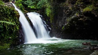 Día Internacional de los Trópicos