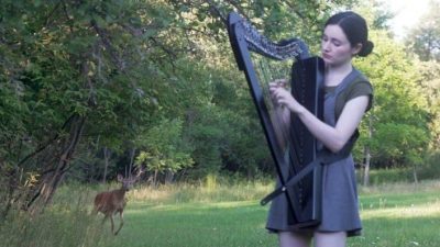 Mujer toca preciosa canción en el arpa y un venado se acerca a escuchar