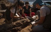 Hallados 11 cocodrilos momificados de hace 2.000 años en el Valle de los Príncipes de Egipto