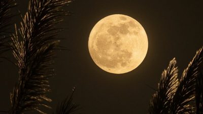 Cuándo y dónde ver la luna de maíz