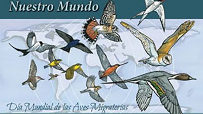 Día Mundial de las Aves Migratorias / de la Salud Mental / contra la Pena de Muerte / de los Cuidados Paliativos