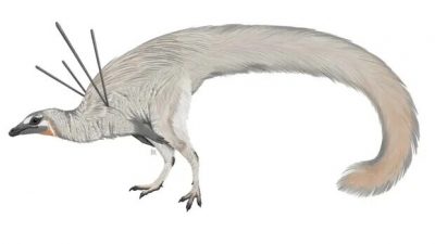 Se encuentra el que posiblemente sea el dinosaurio más raro hallado hasta la fecha