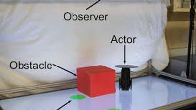 Así es el primer robot que “siente empatía”