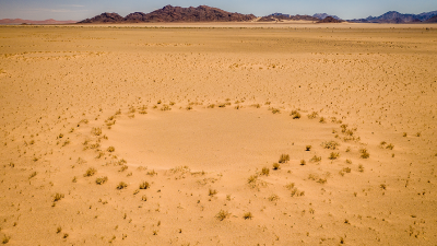 Resuelven el enigma de los círculos de hadas en el desierto del Namib