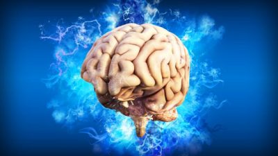 Hallan la clave para mantener al cerebro eternamente joven