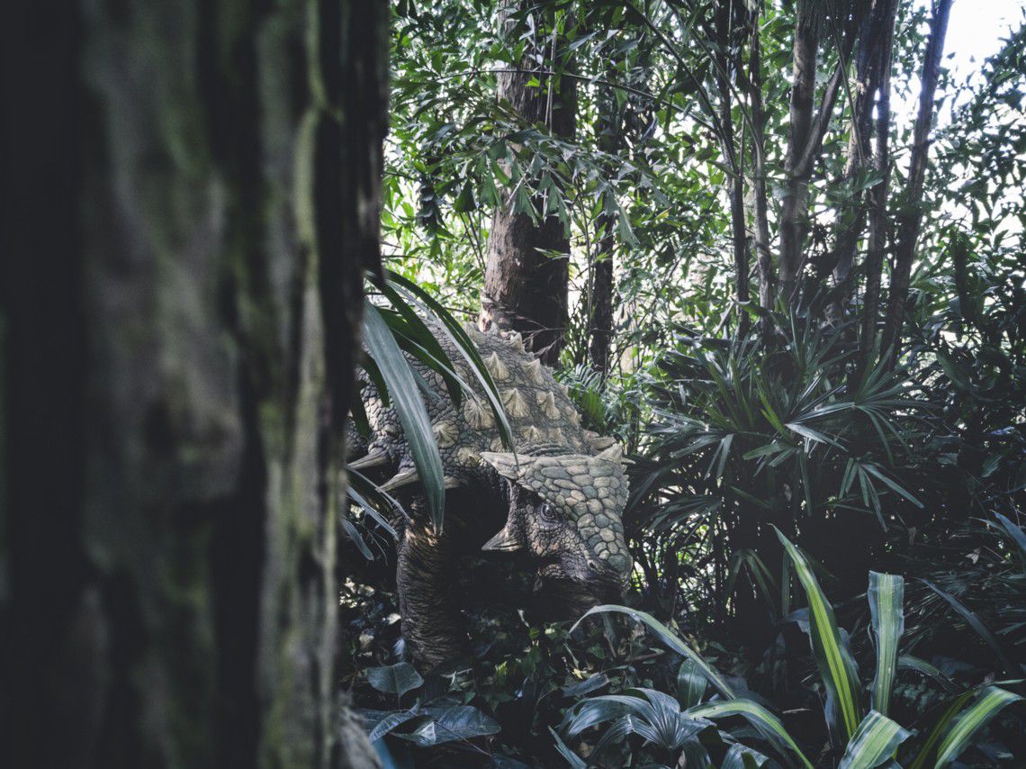 Hallan una extraña especie de dinosaurio previamente desconocida