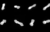 ESO capta las mejores imágenes obtenidas hasta ahora del peculiar asteroide con forma de hueso