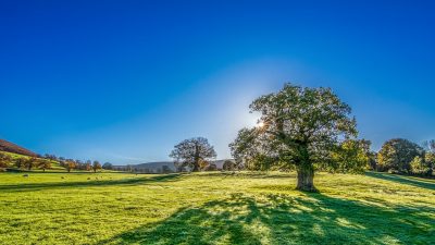 Día Internacional del Aire Limpio por un Cielo Azul