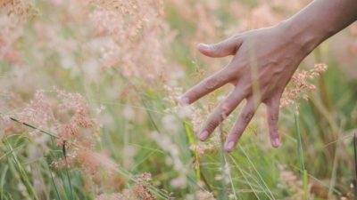 Lo que sentimos dentro del cuerpo también es del sentido del tacto