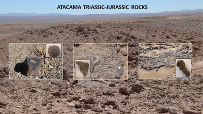 Detección de biomarcadores moleculares en rocas del Triásico-Jurásico del desierto de Atacama y su relevancia para la búsqueda de vida en Marte