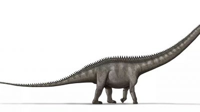 Supersaurus: el dinosaurio quizás más largo de la historia