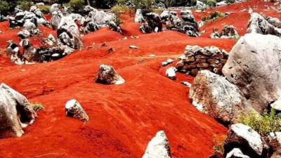 Así son las Dunas Rojas de Pacula, el ‘paraje marciano’ en un ecosistema de México