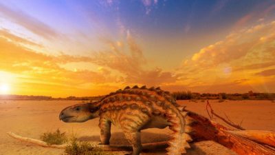 Un dinosaurio ‘blindado’ sacude la paleontología chilena