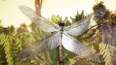 Así era el Meganeura monyi, el insecto más grande que ha volado sobre la Tierra y que está emparentado con las libélulas