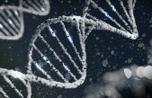 Un misterioso ADN revoluciona la edición de genes humanos