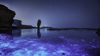 El plan del pueblo en Francia que busca iluminar sus calles con organismos vivos