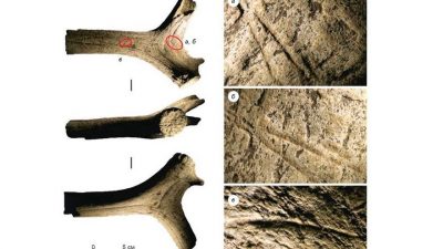 Descubren los rastros más antiguos de la presencia humana en el Ártico