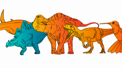 Nuevas evidencias de que los dinosaurios autorregulaban su temperatura corporal