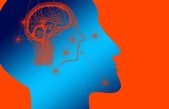 Mirando el cerebro se puede descubrir la ideología de una persona