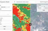 Dynamic World: Google muestra en tiempo real los cambios en el planeta