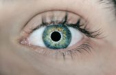 Los ojos revelan lo que sucede en el cerebro